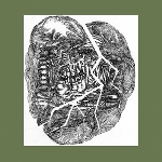 wolf eyes - no answer - lower floors wolf eyes - no answer - lower floors