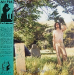 ariel pink's haunted graffiti - the doldrums ariel pink's haunted graffiti - the doldrums
