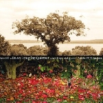 dave douglas quintet (+ aoife o'donovan) - be still dave douglas quintet (+ aoife o'donovan) - be still
