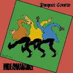 parquet courts - wide awake! (ltd. deluxe ed) parquet courts - wide awake! (ltd. deluxe ed)