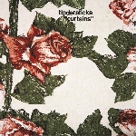 tindersticks - curtains tindersticks - curtains