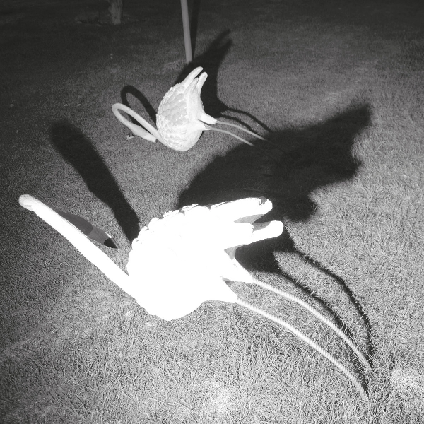 Siavash Amini - A Mimesis Of Nothingness Siavash Amini - A Mimesis Of Nothingness