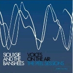 siouxsie and the banshees - voices on the air, the peel sessions siouxsie and the banshees - voices on the air, the peel sessions