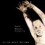 nurse with wound - salt marie celeste nurse with wound - salt marie celeste
