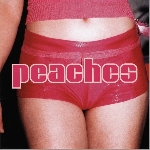 peaches - the teaches of peaches peaches - the teaches of peaches