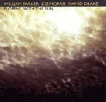 william parker - joe morris - hamid drake - eloping with the sun william parker - joe morris - hamid drake - eloping with the sun