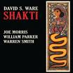 david s.ware - shakti david s.ware - shakti