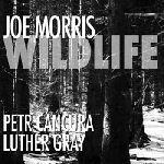 joe morris - wild life joe morris - wild life