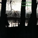 cluster - sowiesoso cluster - sowiesoso
