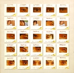 john cale - the academy in peril john cale - the academy in peril