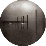 om - conference of the birds (picture disc) om - conference of the birds (picture disc)