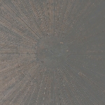 william basinski + lawrence english - selva oscura (grey vinyl) william basinski + lawrence english - selva oscura (grey vinyl)