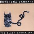devendra banhart - the black babies devendra banhart - the black babies