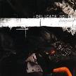 delicate noise - diversion delicate noise - diversion