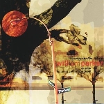 william parker - raining on the moon william parker - raining on the moon
