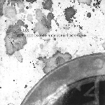 crass - the feeding of the five thousand (crassical collection) crass - the feeding of the five thousand (crassical collection)