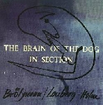 peter brötzmann - fred lonberg-holm - the brain of the dog peter brötzmann - fred lonberg-holm - the brain of the dog