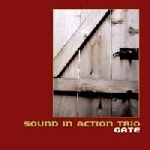 sound in action trio (vandermark-barry-daisy) - gate sound in action trio (vandermark-barry-daisy) - gate