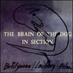 peter brötzmann - fred lonberg-holm - the brain of the dog peter brötzmann - fred lonberg-holm - the brain of the dog