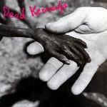 dead kennedys - plastic surgery disasters dead kennedys - plastic surgery disasters