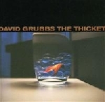 david grubbs - the thicket david grubbs - the thicket