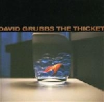 david grubbs - the thicket david grubbs - the thicket