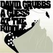 david grubbs - a guess at the riddle david grubbs - a guess at the riddle