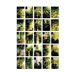 richard youngs - simon wickham smith - 5 years richard youngs - simon wickham smith - 5 years