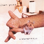 sonic youth - a thousand leaves sonic youth - a thousand leaves
