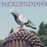 merzbow (masami akita) - merzbuddha merzbow (masami akita) - merzbuddha
