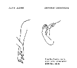 alvin lucier - orpheus variations alvin lucier - orpheus variations