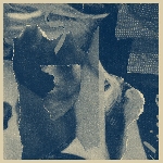 aria rostami & daniel blomquist - distant companion aria rostami & daniel blomquist - distant companion