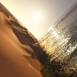 mark pritchard - under the sun mark pritchard - under the sun