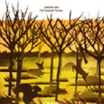 leafcutter john - the forest and the sea leafcutter john - the forest and the sea