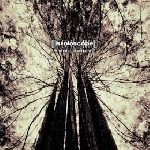 iszoloscope - the edge of certainty iszoloscope - the edge of certainty