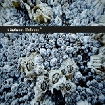 diaphane - lifeforms diaphane - lifeforms