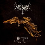 nordvargr - pyrrhula nordvargr - pyrrhula
