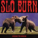 slo burn - amusing the amazing slo burn - amusing the amazing