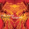 daniel menche - flaming tongues daniel menche - flaming tongues