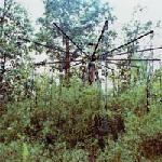john wiese - black magic pond john wiese - black magic pond