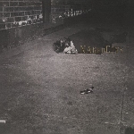 john zorn - naked city john zorn - naked city