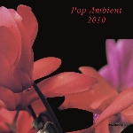 pop ambient - 2010 pop ambient - 2010
