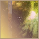 brave timbers - hope brave timbers - hope