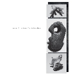 Andrew Pekler - Sounds From Phantom Islands Andrew Pekler - Sounds From Phantom Islands