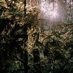 white manna - s/t white manna - s/t