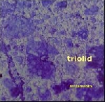 triolid - ur lamento triolid - ur lamento