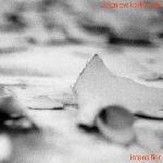 zbigniew karkowski - intensifier zbigniew karkowski - intensifier