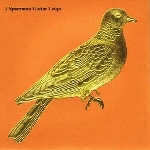 j.spaceman - guitar loops j.spaceman - guitar loops