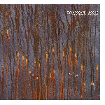 synapscape - asche synapscape - asche