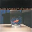 david grubbs - the thicket david grubbs - the thicket